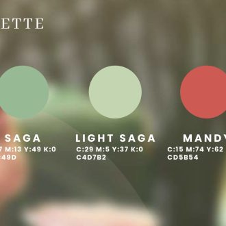 ash brand identity_compressed_pages-to-jpg-0005 ash brand identity_compressed_pages-to-jpg-0005