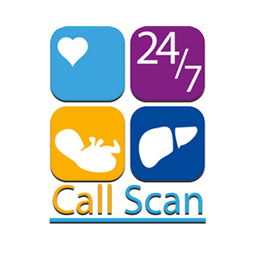 12- callscan-logo-color